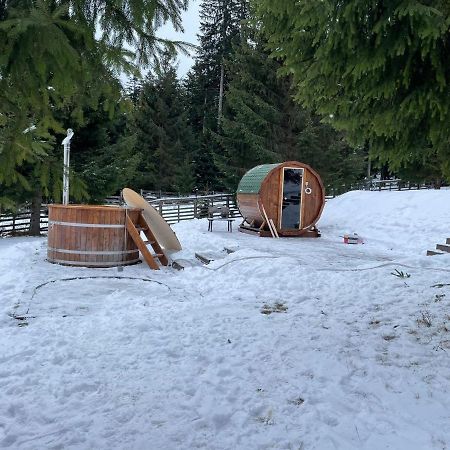 Hotel Floare De Colt Mînăstirea Humorului Eksteriør bilde