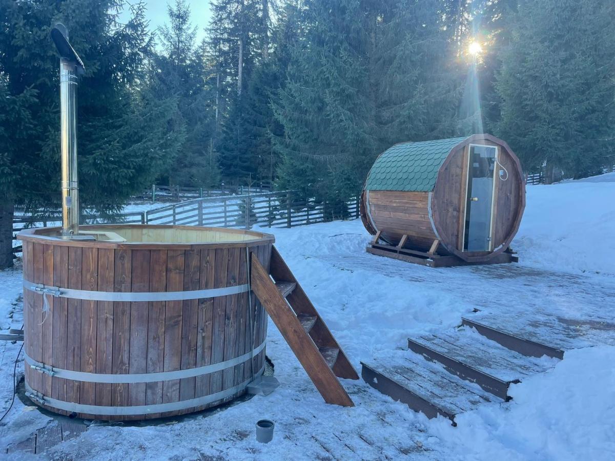Hotel Floare De Colt Mînăstirea Humorului Eksteriør bilde