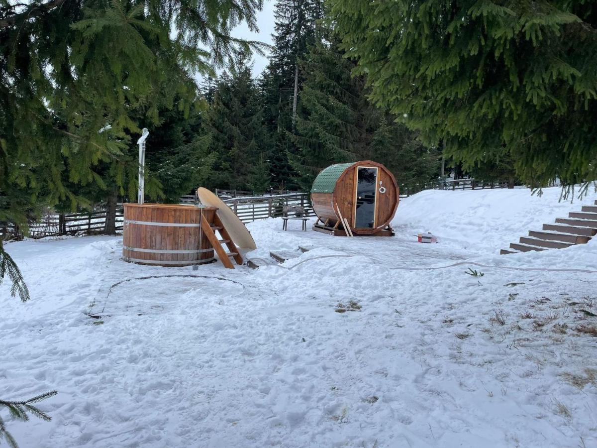 Hotel Floare De Colt Mînăstirea Humorului Eksteriør bilde