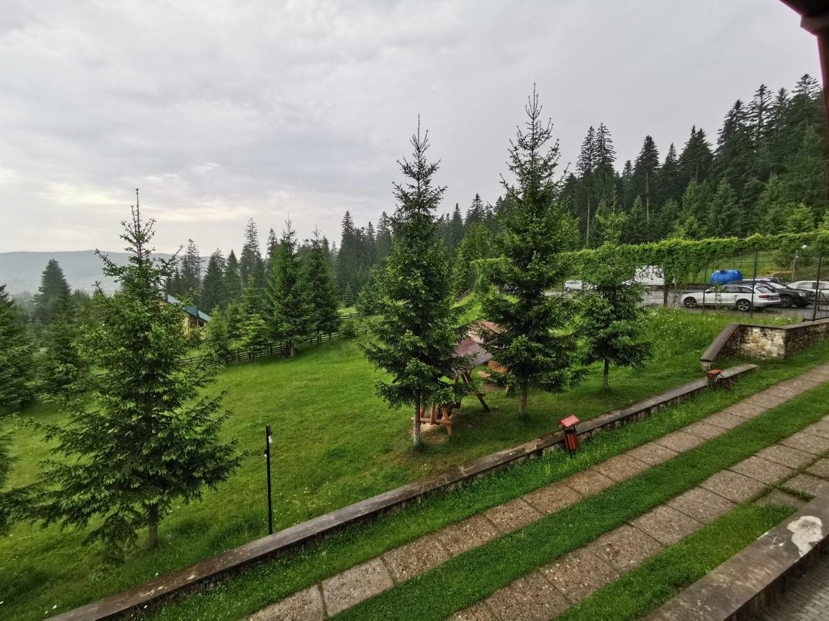 Hotel Floare De Colt Mînăstirea Humorului Eksteriør bilde