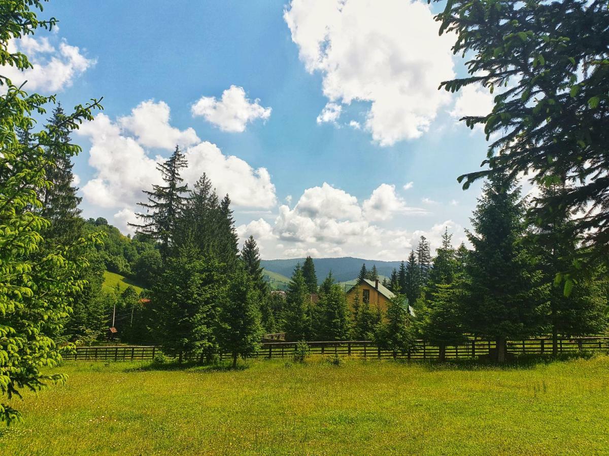 Hotel Floare De Colt Mînăstirea Humorului Eksteriør bilde